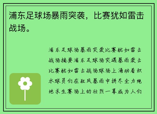 浦东足球场暴雨突袭，比赛犹如雷击战场。